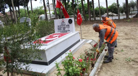 Haber Resmi