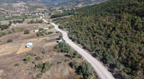 Benzer Haber