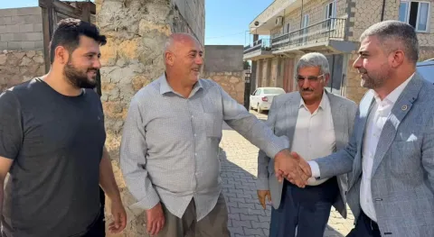 Benzer Haber