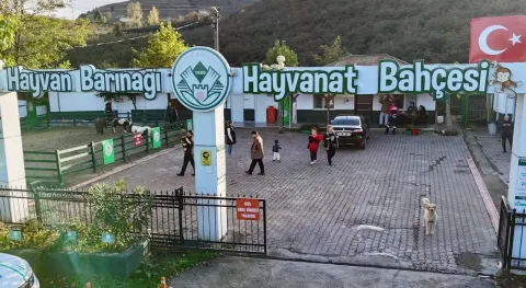 Haber Resmi