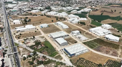 Benzer Haber