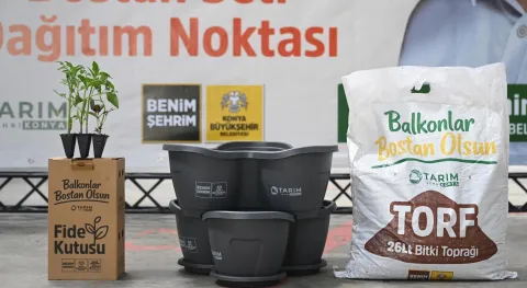 Haber Resmi