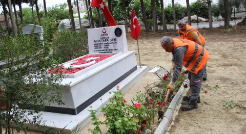 Haber Resmi