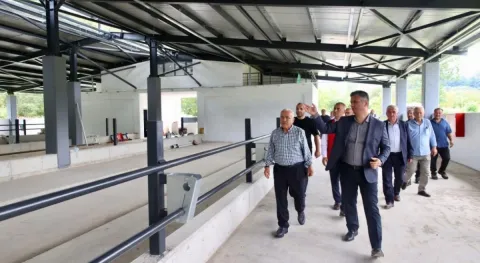 Haber Resmi