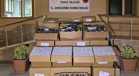 Haber Resmi