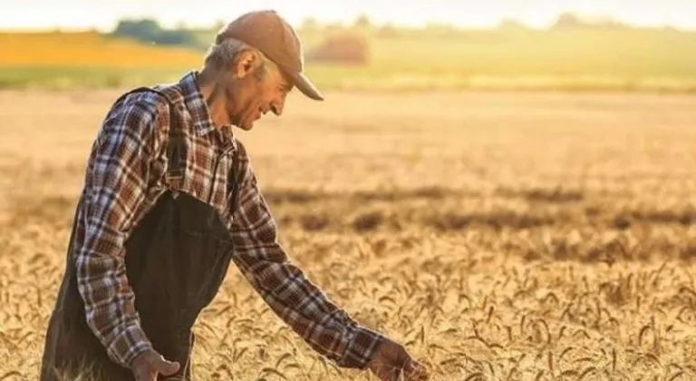 2025’te tarım işçilerinin günlük ücretleri arttı