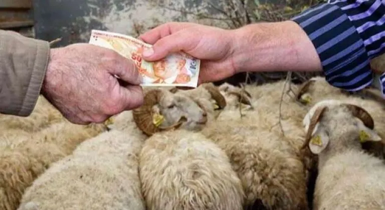 2026 Yılı Kurban Hizmetleri Tebliği 'Resmi'leşti... İstanbul'a kurbanlık girişleri 11 Mayıs'ta başlıyor