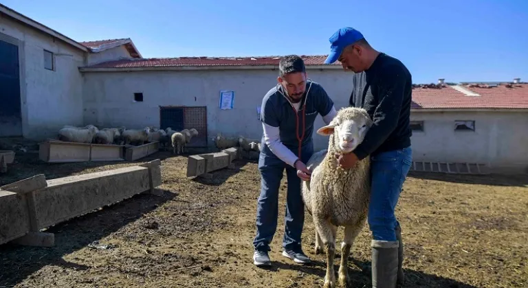 ABB'den kırsala veterinerlik hizmeti
