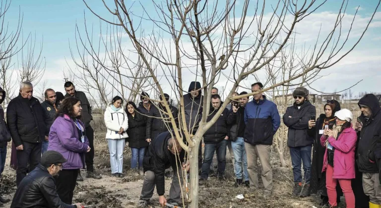ABB'den meyve ağaçlarının gelişimine destek