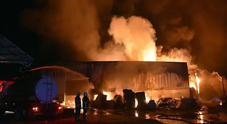 Adana'da parke ve panel üretilen fabrikada yangın