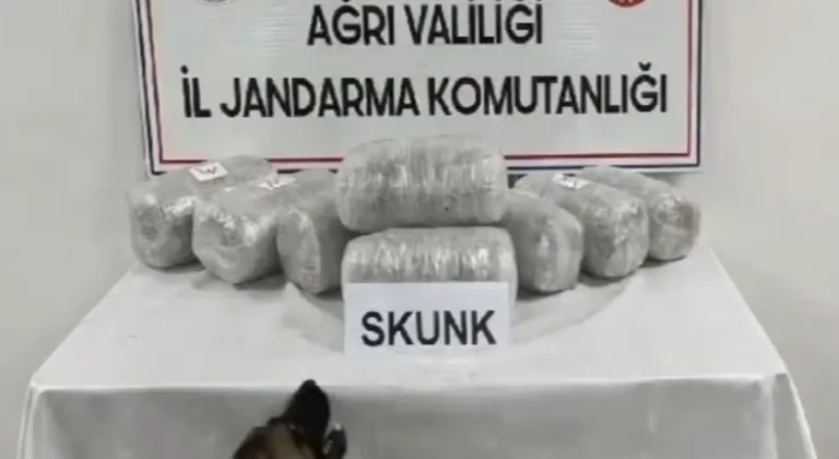Ağrı’da 10 kilogram skunk ele geçirildi