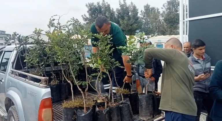 Alanya’nın coğrafi işaretli keçiboynuzuna destek