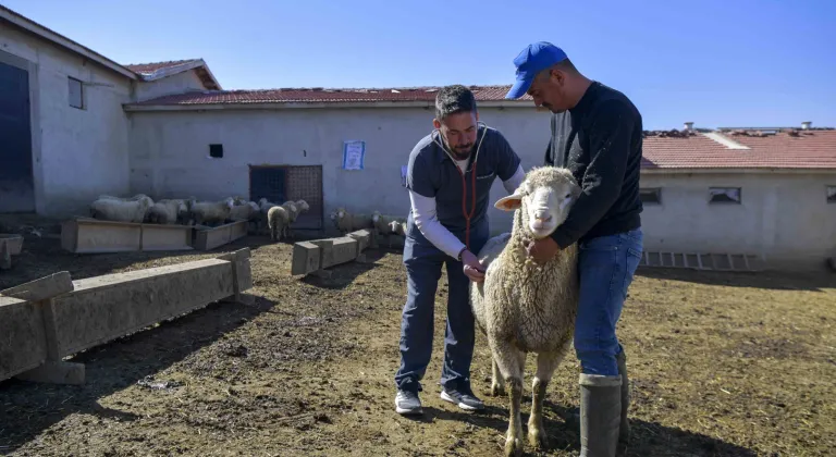 Ankara’da kırsaldaki üreticiye can suyu