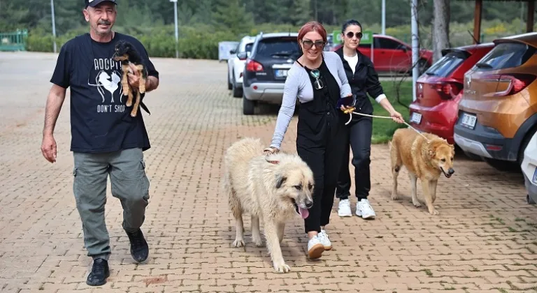 Antalya Büyükşehir Bakımevi’nde can dostlar sıcak yuvalarına kavuşuyor