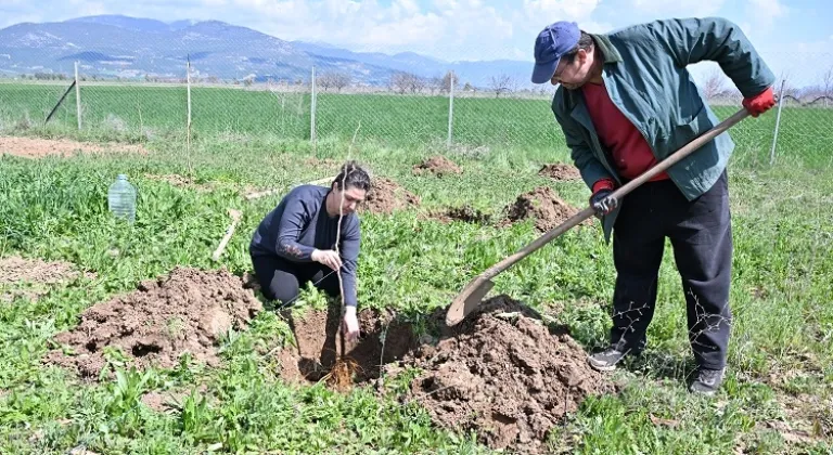 Antalya Büyükşehir ipek böceği yetiştiriciliğini yaygınlaştırıyor