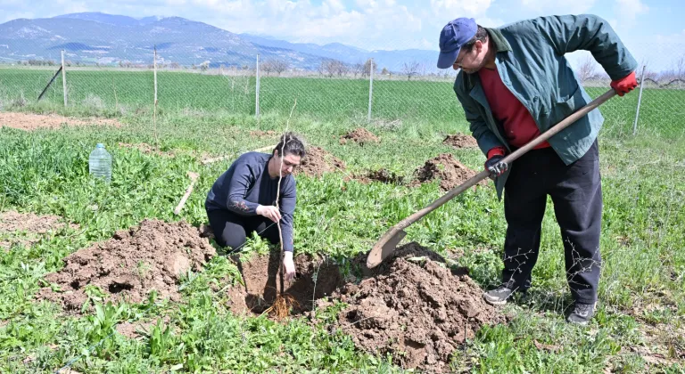 Antalya Korkuteli ilk kez ipekböcekçiliği ile tanışıyor