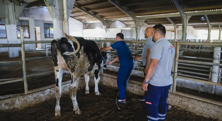 Antalya'da kurban yakalama timi göreve hazır