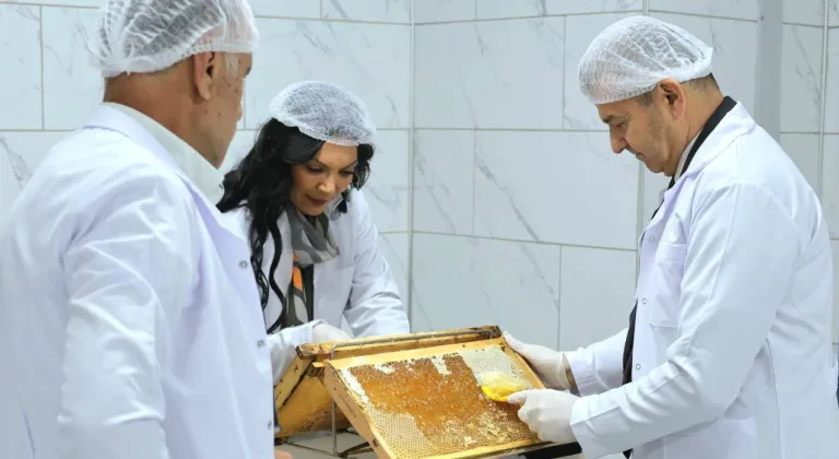 Arıcılık Uzmanları Artvin’de Buluşacak