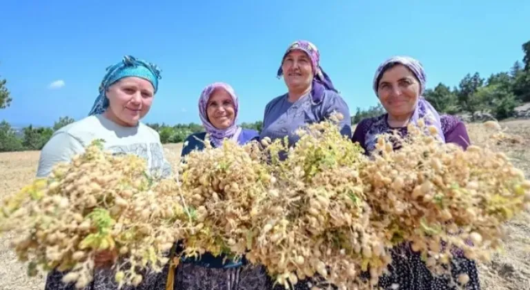 Ata Tohumları Geleceğe Güvenceyle Taşınıyor

