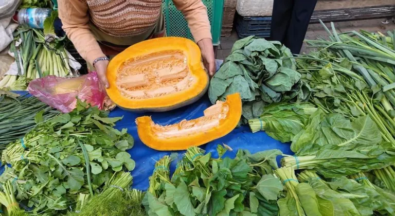 Aydın’da bal kabağı sezonu açıldı