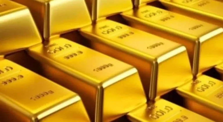 Aylıkta En Yüksek Reel Getiri DİBS'te, Yıllıkta Külçe Altında









