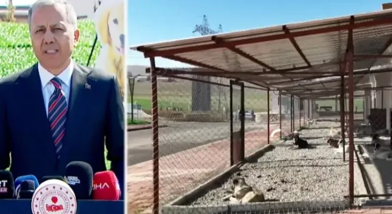 Bakan Yerlikaya: Belediyeler sahipsiz hayvanlar konusunda iki ayda bir denetlenecek







