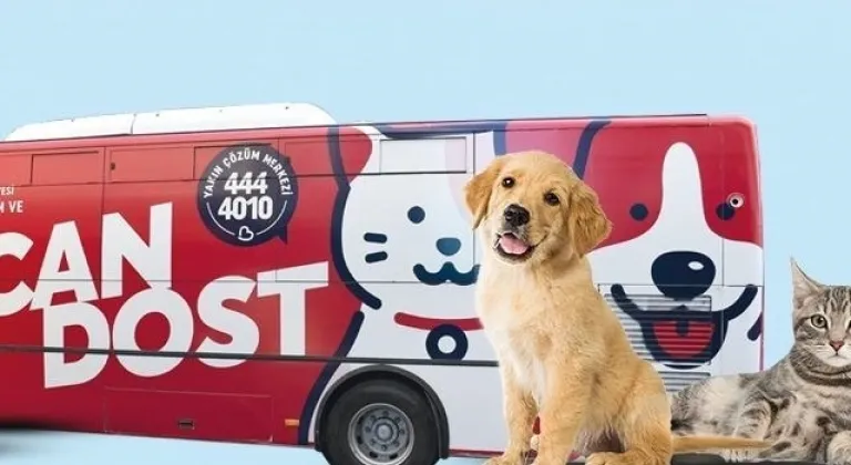 Balıkesir’de patili canlara mobil sağlık hizmeti