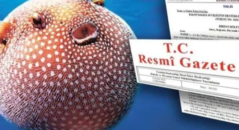Balon Balığı Avcılığına Yeni Teşvik: Ödemeler Yükseliyor!









