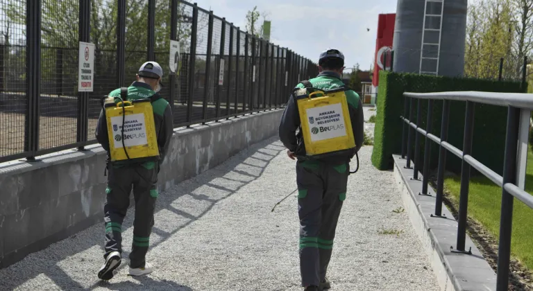 Başkent’te haşereyle etkin mücadele