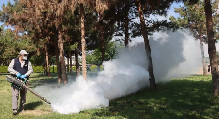 Belediyeden haşereye karşı seferberlik
