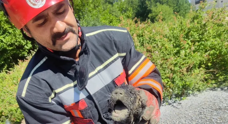 Betona Sıkışan Köpek İtfaiyenin Müdahalesiyle Kurtarıldı