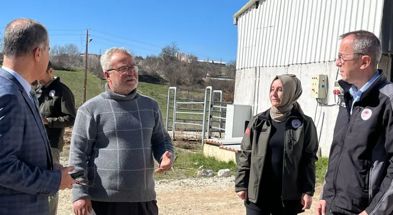 Bilecik Pazaryeri’nde tarım ve hayvancılık faaliyetlerine Müdür Ayvalık'tan yerinde inceleme