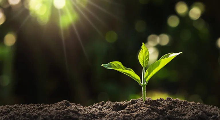 Bitki koruma ürünlerinde satış ve kullanım elektronik takibe alınıyor