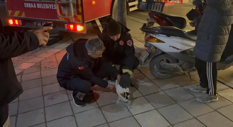 Boş evin balkonunda mahsur kalan kediyi itfaiyeciler kurtardı