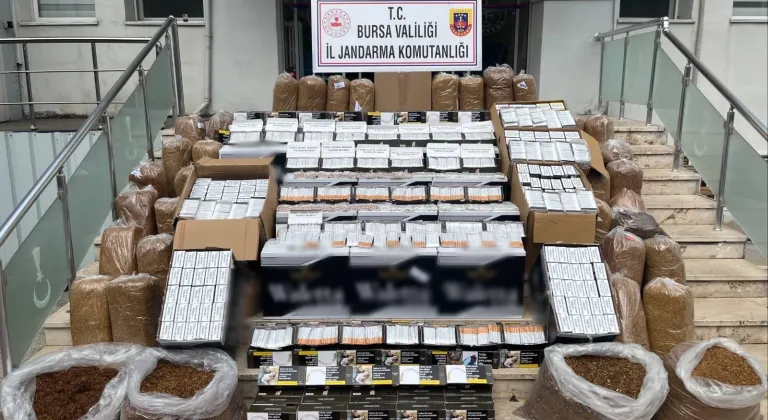 Bursa Gemlik’te kaçak tütün operasyonu