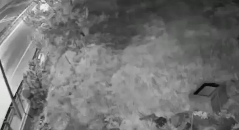 Bursa Kestel'de çelik kasa hırsızlığı çözüldü