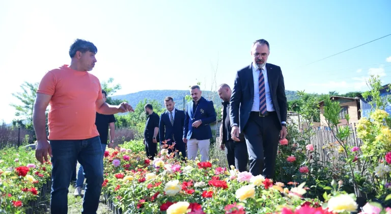 Bursa Kestel'de süs bitkileri üreticilerine destek