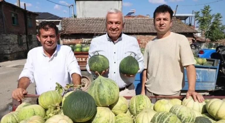 Bursa Nilüfer’de Konaklı Kavunu Üretiminde İki Kat Artış