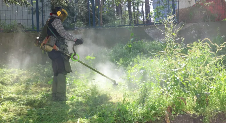 Bursa Osmangazi’de yabani ot temizliği