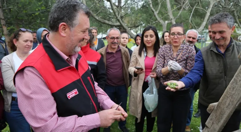 Bursa Siyahı İncirde Sıkı Denetim Dönemi