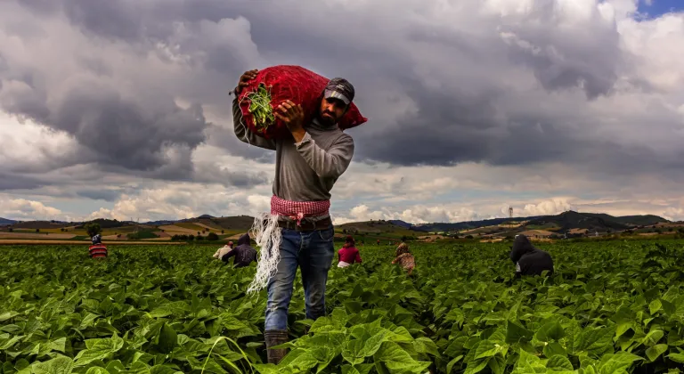 Bursa Yenişehir'de tarımı geliştiren, sanayi ve ticareti büyüten anlayış hakim