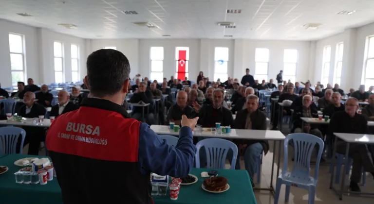 Bursa’da zeytinde yeni dönem... B-Reçete geliyor