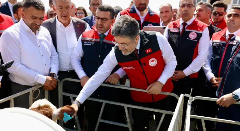 Büyükbaş Hayvanlara Dijital Kimlik: GEKİS Kars’ta Başladı