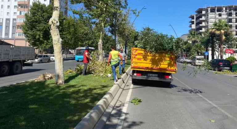 Büyükşehir, Fırtına Sonrası Yaraları Sarıyor