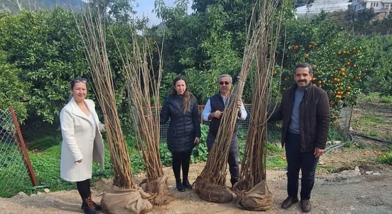 Büyükşehir'den Üreticilere Dut Fidanı Desteği