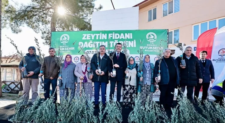 Büyükşehir’den üreticiye 100 bin zeytin fidanı desteği
