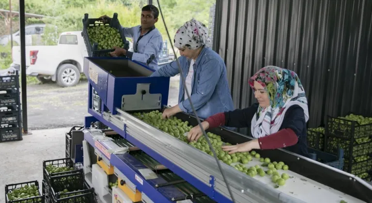 Büyükşehir’in Makine Desteğiyle Üretici Güçleniyor, Kırsal Kalkınıyor