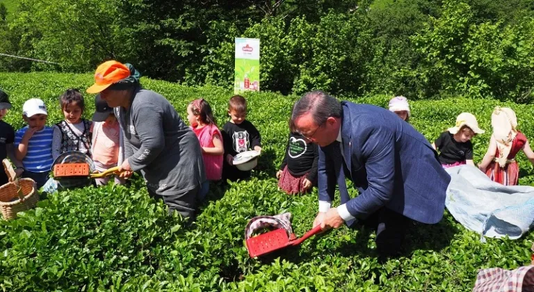 Çay İşletmeleri'ne personel atamalarında 40 yaş şartı aranmayacak