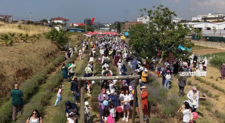 Çayırova’da Lavanta Hasadı Şenliği Renkli Anlara Sahne Oldu