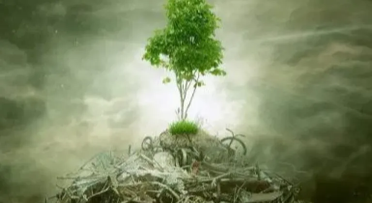 ÇED 'gerekli değil' kararı kaldırıldı! Yönetmelikle süreçler değişti